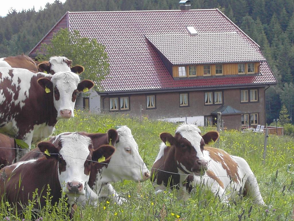 Haus Am Berg Villa Schönwalde Exterior foto